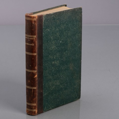 2021.2103.0388.jpg