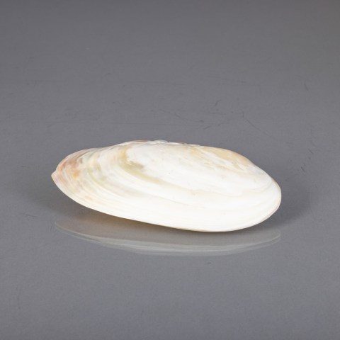 2022.009.0601.jpg