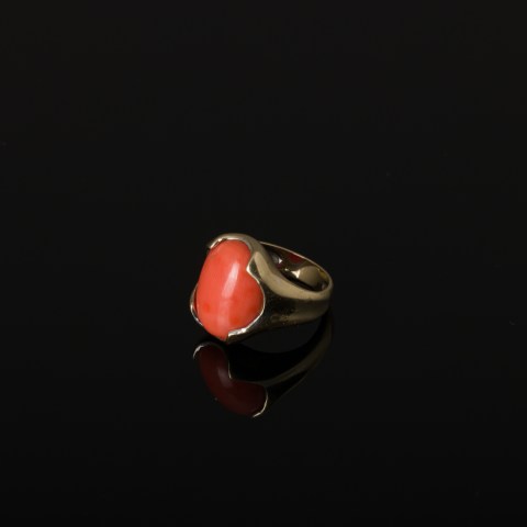2024.005.0357.jpg