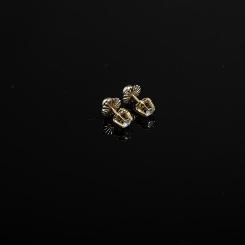 2024.005.0359.jpg