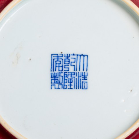 2026.005.0815_1.jpg